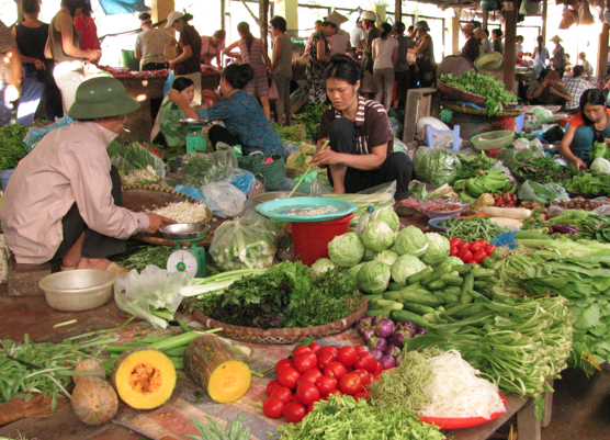 Grocery Shopping in Vietnam
