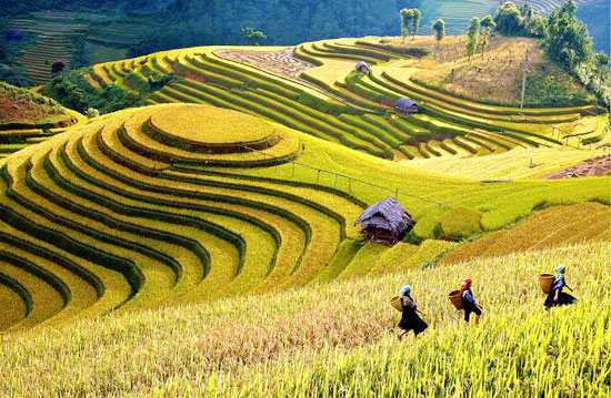 Tourism week commences in Mu Cang Chai