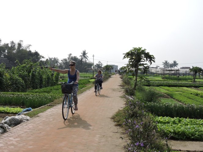 Foreign tourists are pictured enjoying their bicycle rides on the outskirts of Hoi An City. Photo: Tuoi Tre