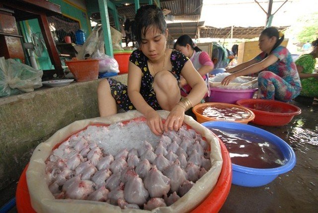 Rat market in An Giang