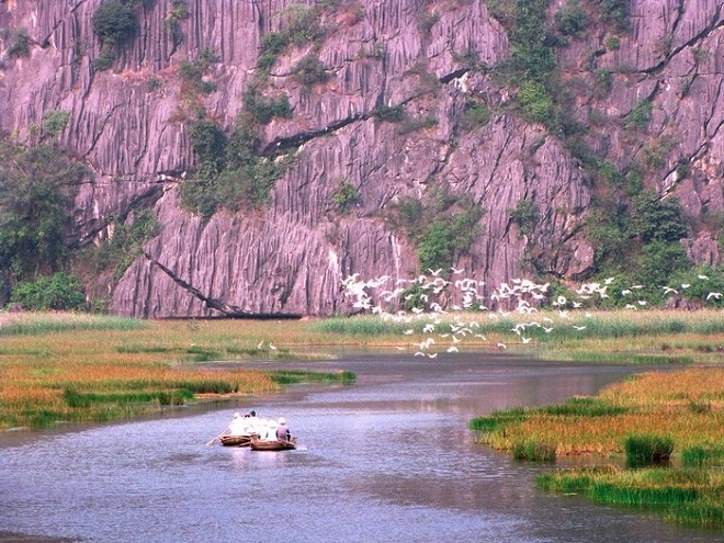 Covering an area of 3,000 hectares, Van Long nature reserve boasts of 32 beautiful grottos such as: Ca Grotto, Bong Grotto, Rua Grotto, Chanh Grotto, each has an unique beauty.
