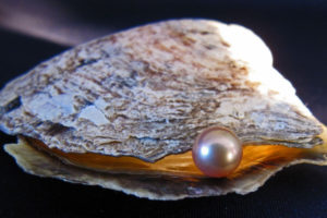 Vietnamese Pearl jewellery